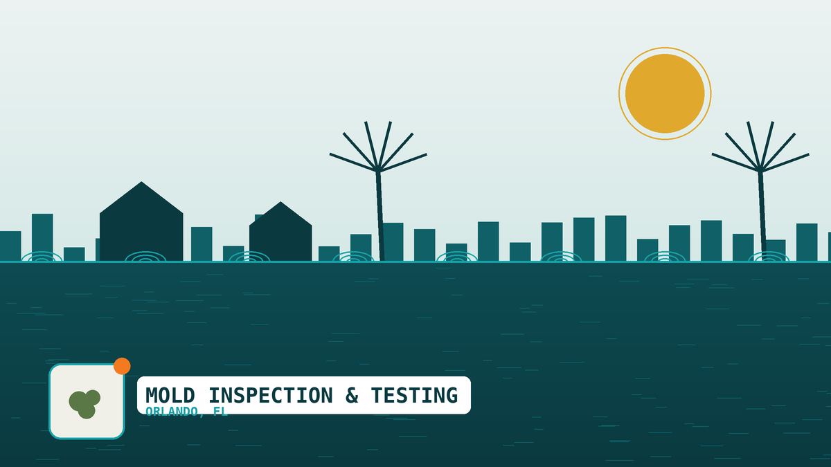 Technician using a moisture meter to inspect for mold in an Orlando home